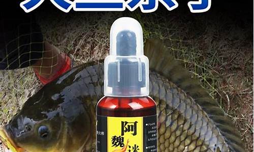 釣魚小藥怎么使用方法(釣魚小藥怎么使用方法圖片)