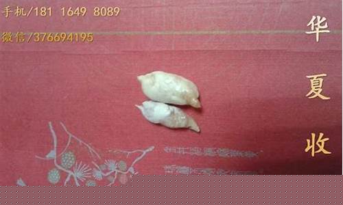 穿透王聚魚寶是什么味型的餌料