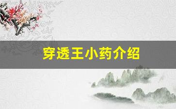 穿透王小藥介紹(穿透王小藥到底有沒有用)