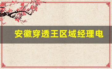 安徽穿透王區(qū)域經(jīng)理電話(安徽穿透王公司)