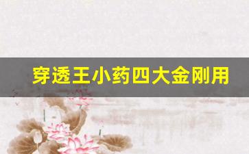 穿透王小藥四大金剛用法用量(穿透王小藥使用配方)