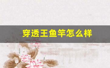 穿透王鱼竿怎么样(穿透王是哪里生产的)