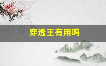 穿透王有用嗎(穿透王官方網(wǎng))