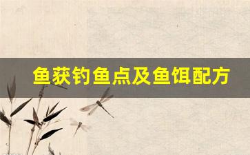 鱼获钓鱼点及鱼饵配方大全视频(鱼获需要什么鱼饵)