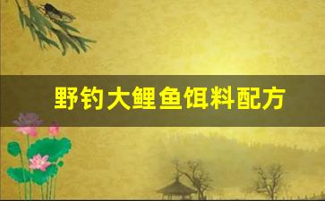野钓大鲤鱼饵料配方(野钓大鲤鱼饵料配方大全)