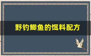 野钓鲫鱼的饵料配方(野钓鲫鱼的饵料配方视频)