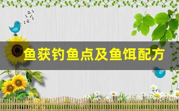 鱼获钓鱼点及鱼饵配方视频讲解(渔获鱼饵)