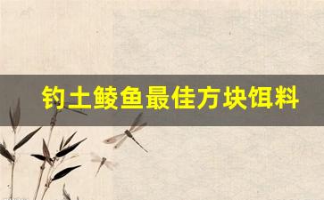 钓土鲮鱼最佳方块饵料配方(钓土鲮鱼用什么饵料最好)