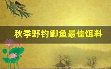 秋季野钓鲫鱼最佳饵料配方(秋季野钓鲫鱼饵料配方大全)