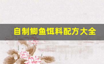 自制鲫鱼饵料配方大全视频(自制鲫鱼窝料)