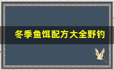 冬季鱼饵配方大全野钓鲫鱼视频(冬季饵料搭配鲫鱼野钓)