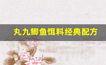 丸九鲫鱼饵料经典配方(丸九野钓鲫鱼那个饵料好用)