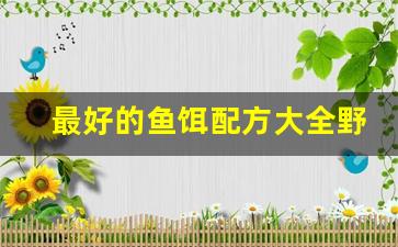 最好的鱼饵配方大全野钓鱼(鱼饵配方大全 野钓)