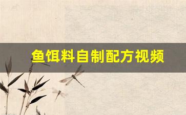 鱼饵料自制配方视频(鱼饵料配方)