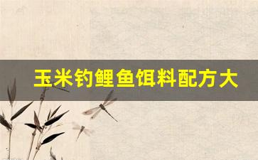玉米钓鲤鱼饵料配方大全(玉米钓鲤鱼的制作方法)