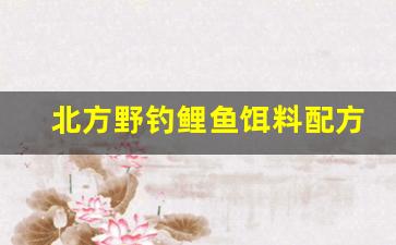 北方野钓鲤鱼饵料配方(北方野钓鲤鱼用什么打窝最好)