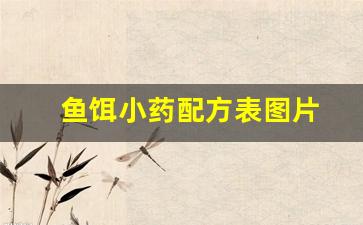 鱼饵小药配方表图片(鱼饵小药配方表图片)