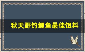 秋天野钓鲤鱼最佳饵料配方(秋天野钓鲤鱼最佳饵料配方是什么)