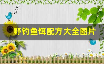 野钓鱼饵配方大全图片(野钓鱼饵配方大全图片视频)
