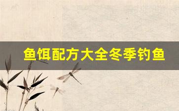鱼饵配方大全冬季钓鱼(鱼饵配方大全冬季钓鱼视频)
