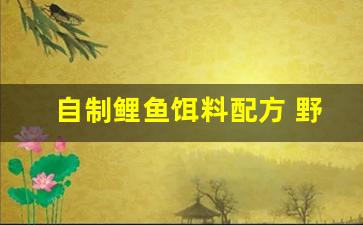 自制鲤鱼饵料配方 野钓(自制鲤鱼饵料绝密配方)