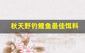 秋天野钓鲤鱼最佳饵料配方(秋天野钓鲤鱼最佳饵料配方是什么)