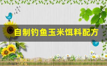 自制钓鱼玉米饵料配方大全(自制钓鱼饵料)
