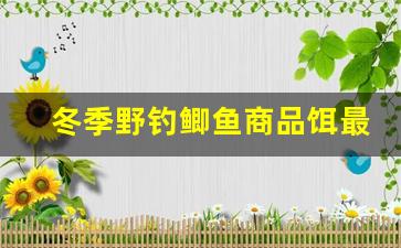 冬季野钓鲫鱼商品饵最佳配方(冬季野钓鲫鱼商品饵最佳配方是什么)