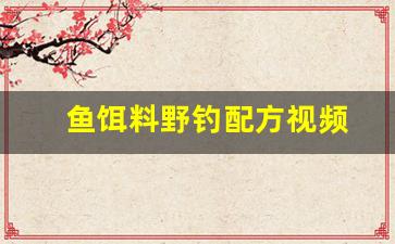 鱼饵料野钓配方视频(鱼饵配方大全 野钓)