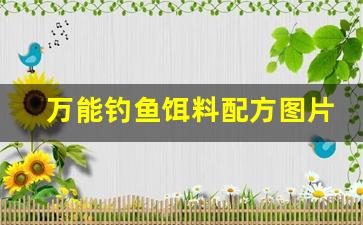 万能钓鱼饵料配方图片(万能饵料使用方法)
