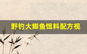 野钓大鲫鱼饵料配方视频(野钓大鲫鱼饵料配方钓鱼人必看)