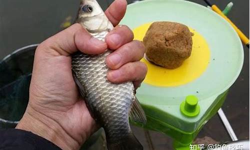 冬天野釣鯽魚用什么餌料搭配最好用(冬天野釣鯽魚用什么餌料搭配最好用呢)