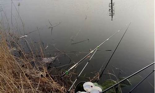 冬季釣魚技巧大全野釣鯉魚(冬季釣魚技巧大全野釣鯉魚視頻)