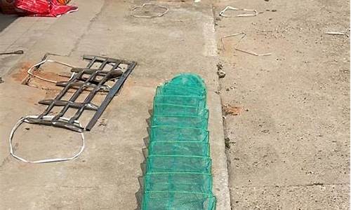 龙虾地笼用什么配方饵料(龙虾地笼用什么配方饵料最好)(pic1)