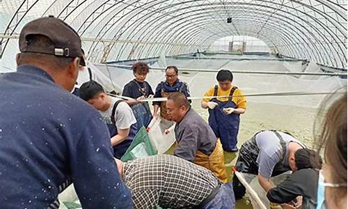 水产饵料公司工作(水产饵料公司工作内容)(pic1)