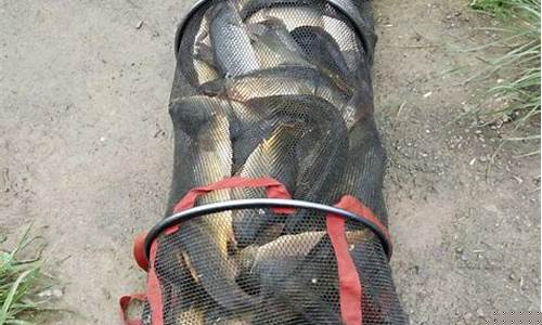 一品源優(yōu)釣魚小藥偷驢(一品源優(yōu)釣魚小藥旗艦店)