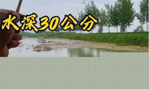 50公分水深釣魚技巧(50公分水深怎么釣魚)