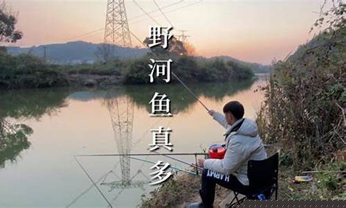 鄉(xiāng)下釣魚視頻(小河溝野釣視頻)