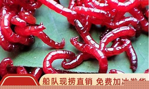 紅蟲2號(hào)怎么配餌料(紅蟲2號(hào)怎么配餌料好)