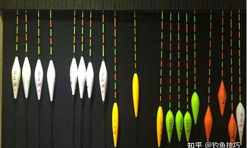 野釣用什么形狀魚漂好(野釣用什么形狀魚漂好用)