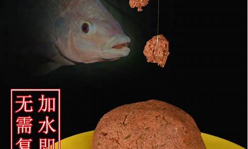 餌料加雞蛋釣羅非(餌料加雞蛋釣羅非可以嗎)