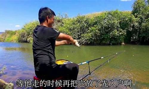 野釣釣魚視頻在線觀看(野釣釣魚視頻在線觀看免費)