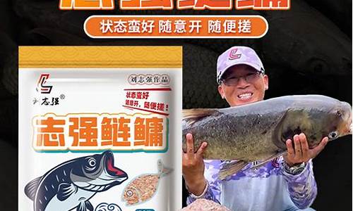 浮釣鰱鳙餌料霧化太快(浮釣鰱鳙餌料霧化太快怎么辦)