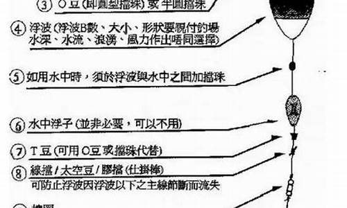 阿波小崔钓鱼视频(小崔用阿波钓鱼视频)(pic1)
