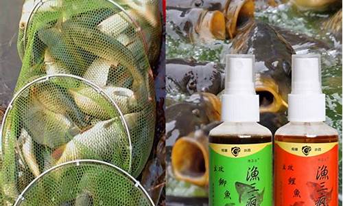 黑坑钓鱼小药配方秘籍(黑坑钓鱼小药配方大全)(pic1)