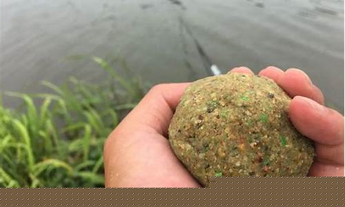 钓鲫鱼用蓝鲫饵料搭配(钓鲫鱼用蓝鲫饵料搭配好吗)(pic1)