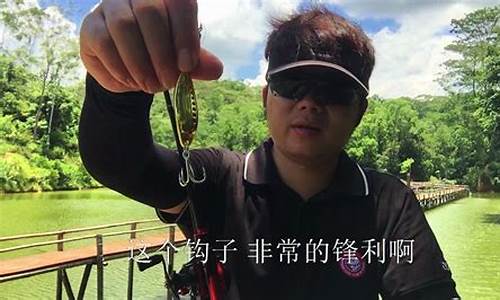 釣魚(yú)技巧視頻教學(xué)教程(釣魚(yú)技巧視頻教學(xué)教