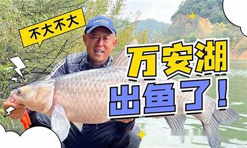 2025年李大毛釣魚(yú)視頻(2025年李大毛釣魚(yú)視頻大全)