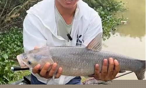 2025年陈俊哥钓鱼视频(2025年陈俊哥钓鱼视频播放)(pic1)
