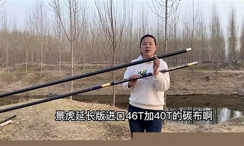 12米炮杆钓鱼视频学钓鱼(12米炮竿)(pic1)